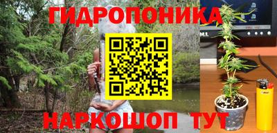 молекула духа Чебоксары