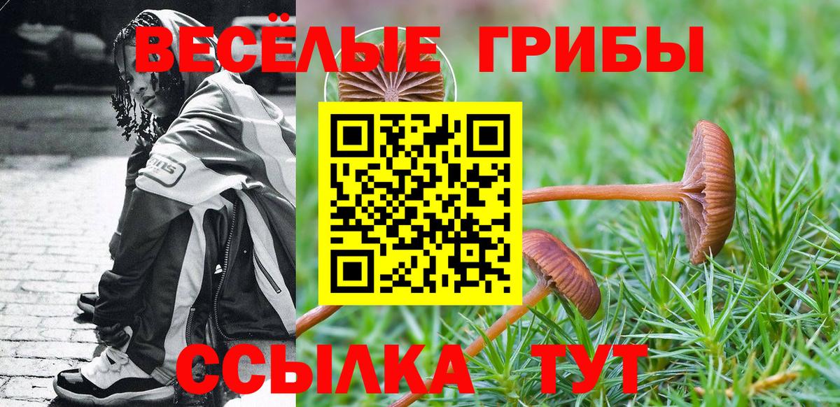 Галлюциногенные грибы Cubensis  наркота  Псилоцибиновые грибы GOLDEN TEACHER  Верхний Уфалей  Вход с VPN 