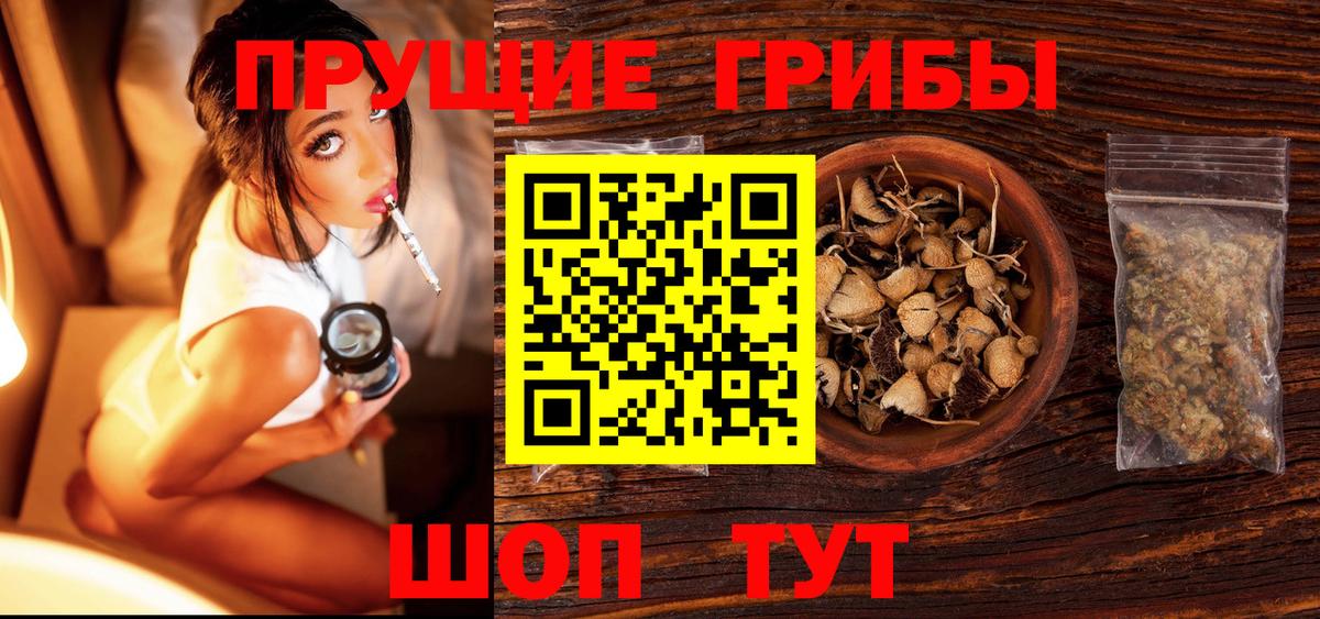 Галлюциногенные грибы Psilocybe Верхний Уфалей